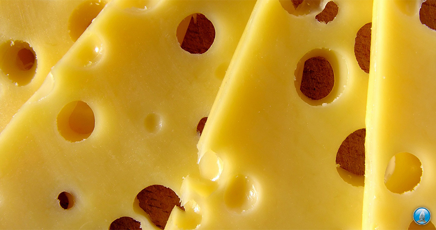 Kaas is het perfecte karperaas in Nederland