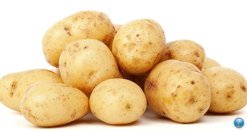 Aardappels het vergeten karperaas